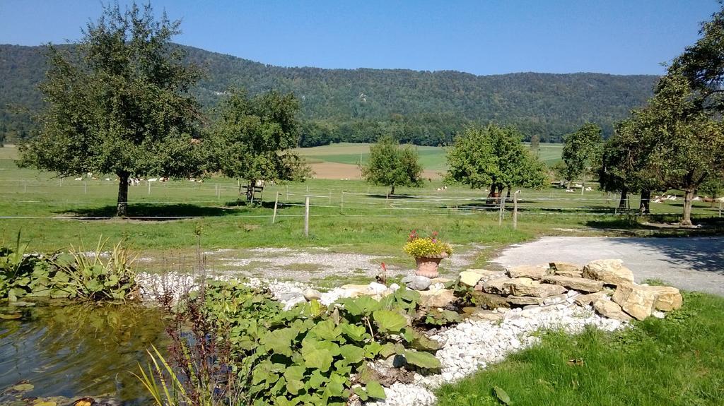 Courcelon Hotel-Gite Rural A 3 Km De Delemont المظهر الخارجي الصورة